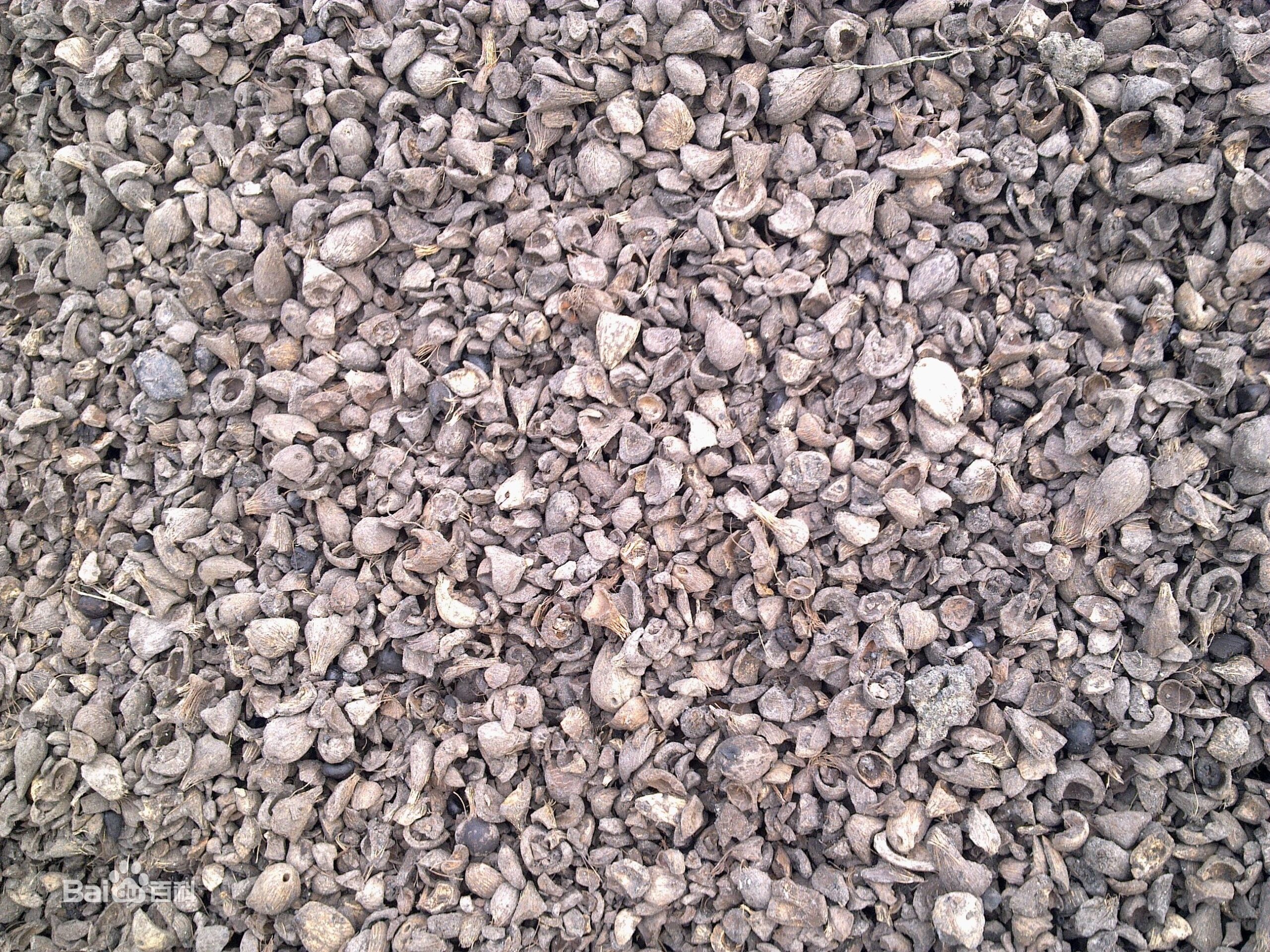 How to make coffee huck charcoal