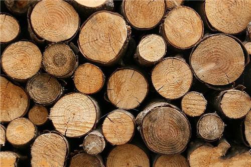 How to make charcoal from wood log