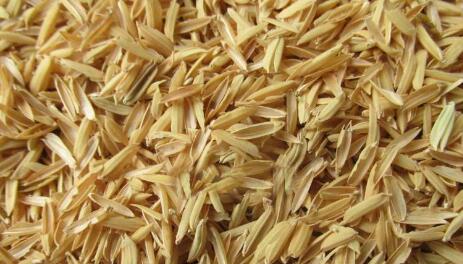 rice husk briquette making machine plant
