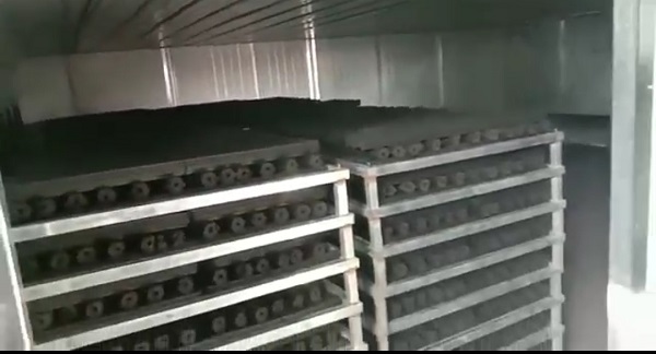 Charcoal Noodle Vegetable Drying machine
