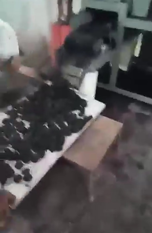 SHISHA CHARCOAL BRIQUETTE DRYING MACHINE