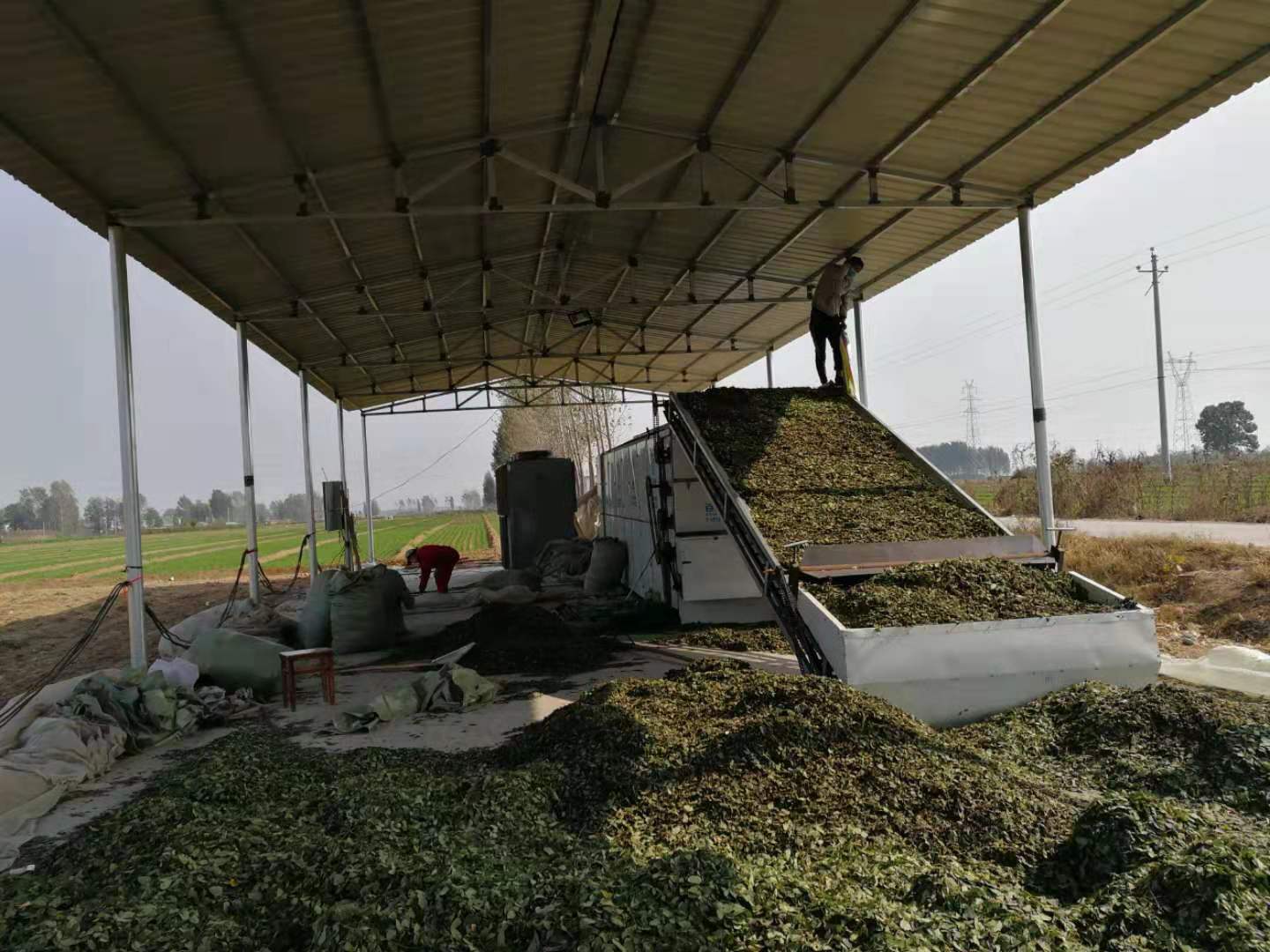 Cassava Dryer Sieve Seafood Dried Machines