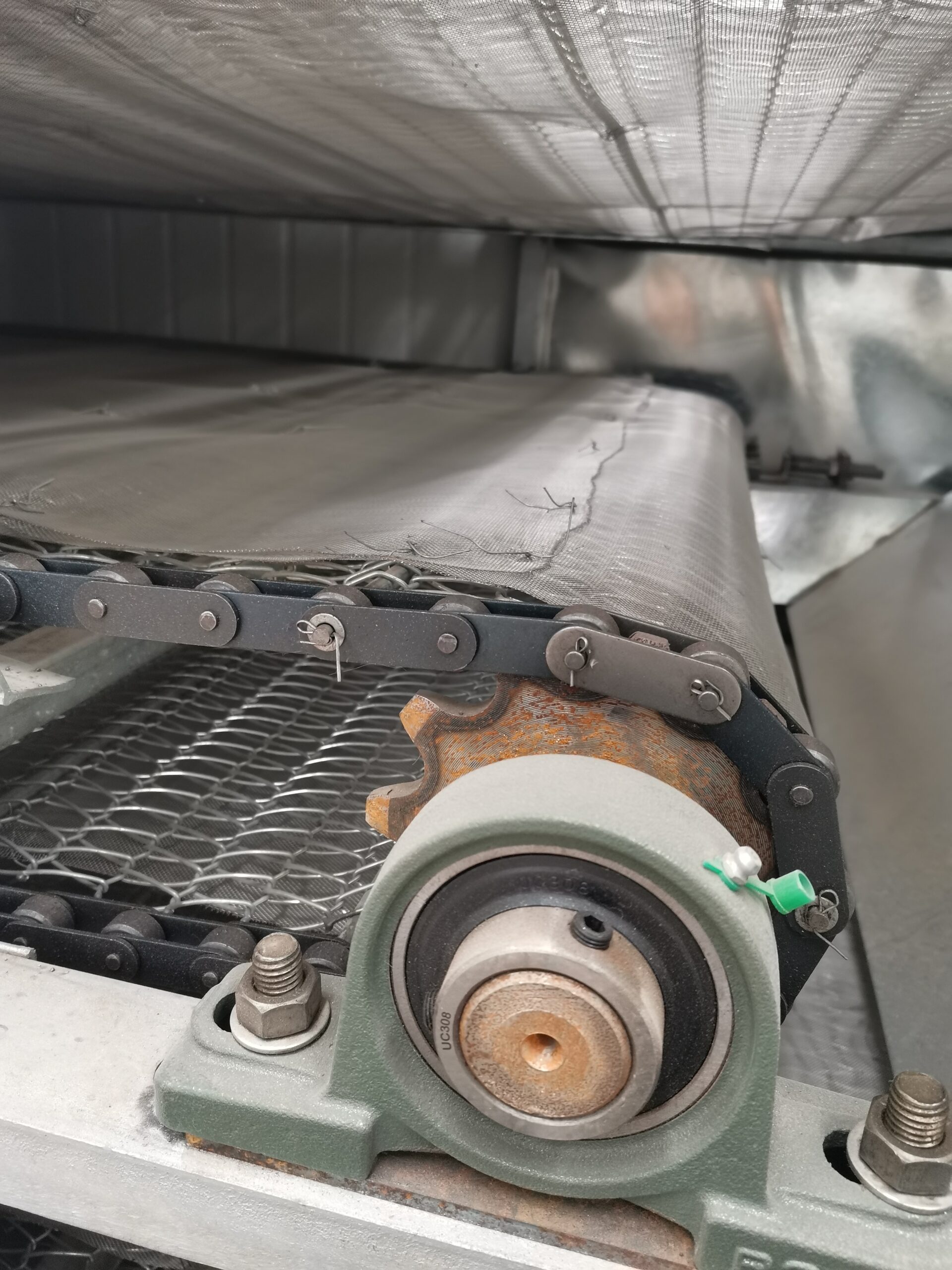 charcoal briquette drying machine vegetable mesh belt dryer