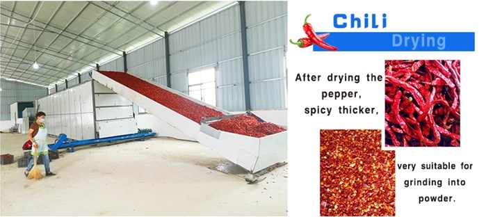 vegetable mesh belt dryer