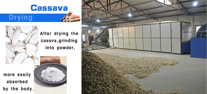 Continuous work vegetable mesh belt dryer machine